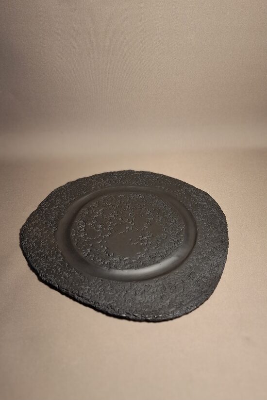 Uzkodu plate-2
